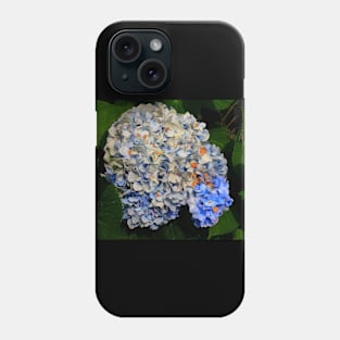 Blue Hydrangea Phone Case