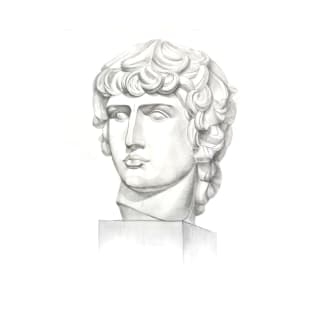 Antinous head T-Shirt