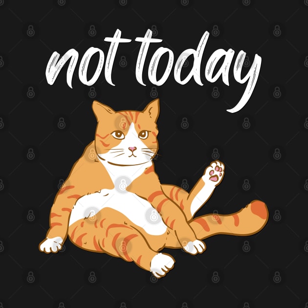 Lazy Cat Nope not Today funny sarcastic messages sayings and quotes by BoogieCreates