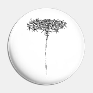 Queen Anne Lace Drawing Pin
