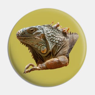 American Iguana Pin