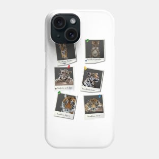 felines Phone Case