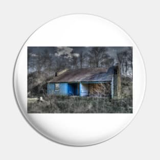 The Blue Shed Pin