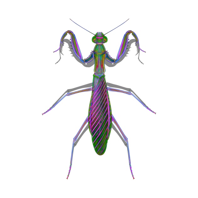 Purple Neon Mantis by crunchysqueak