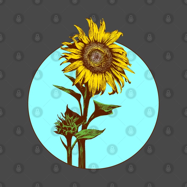 Sunflower in sky circle by tsd-fashion