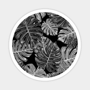 Black and White, Monstera Leaf Jungle Pattern Magnet