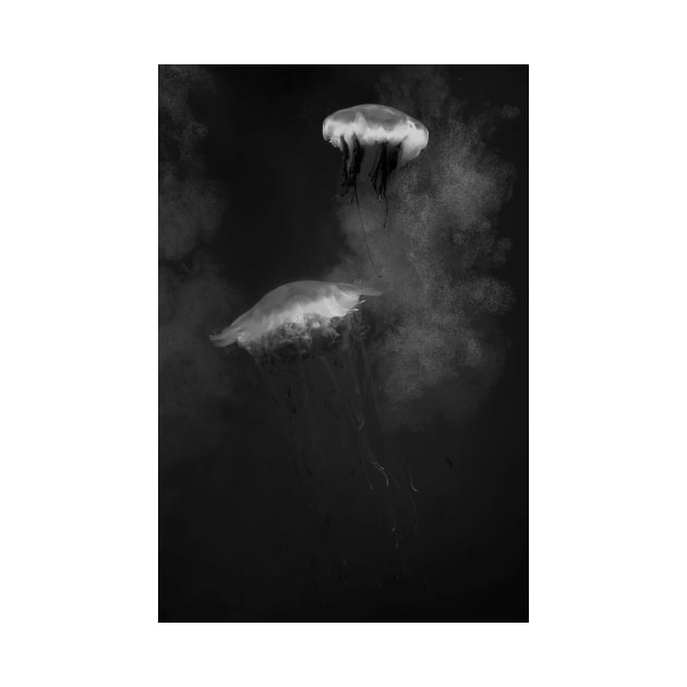 Jellyfish Dance IV in BW. Vladivostok Aquarium by IgorPozdnyakov