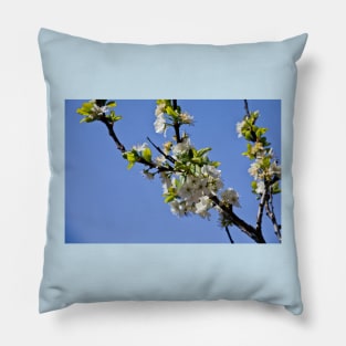 Plum Blossom in Springtime Pillow