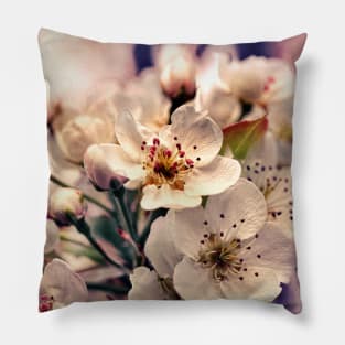 Blossoms at Dusk Pillow