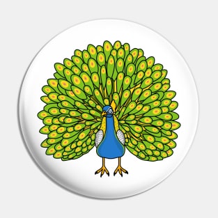 Fun bright peacock bird illustration Pin