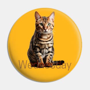 Wednesday cat. Get ready! Pin