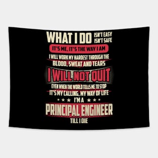 Principal Engineer What i Do Tapestry