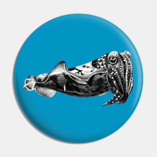 Cuttlefish Pin