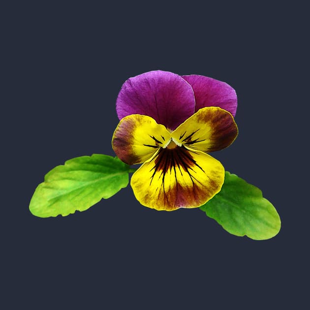 Pansies - Pansy With Welcoming Arms by SusanSavad