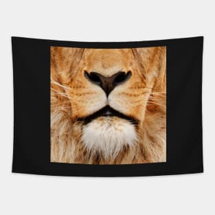 lion Tapestry