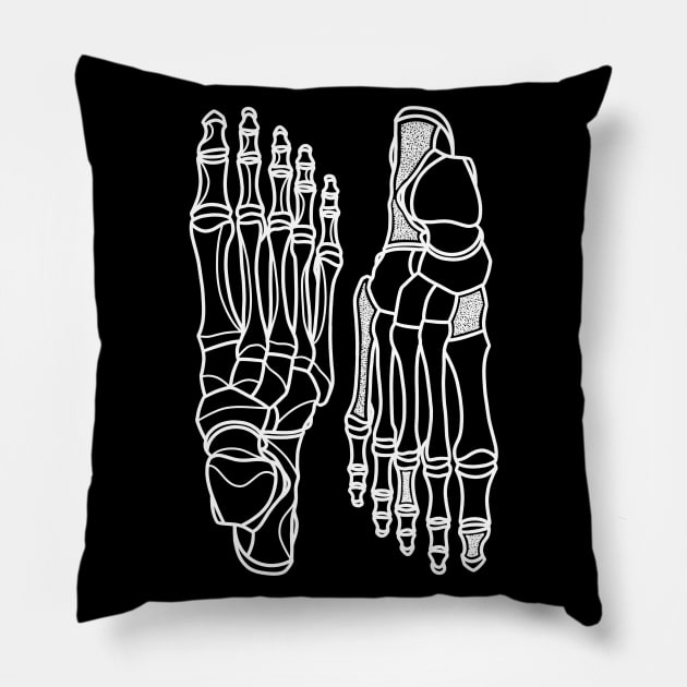 Evolution Pillow by Sadhakaya