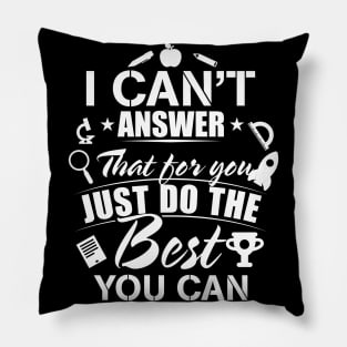 Funny Teaching Teacher Gifts I'm A Teacher Day Appreciation Pillow