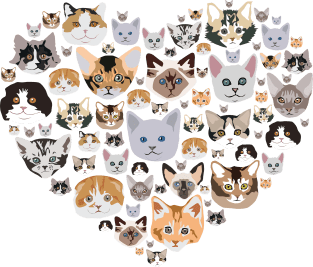 I LOVE CATS Magnet