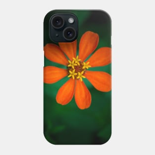 Orange Clavelon - Flower Photography Phone Case