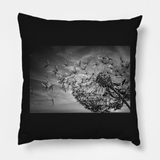 Summer Breeze Dandelion (Noir Texture) Pillow