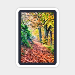 Autumn Leaves Walk Magnet