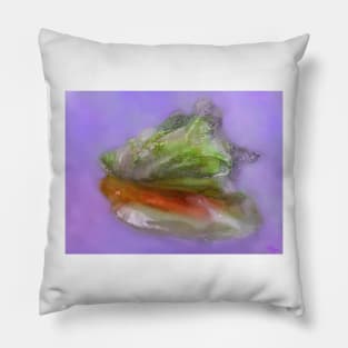 Caribbean Conch Shell Pillow