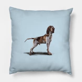 The Bracco Italiano Pillow