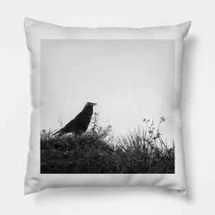 Raven Pillow