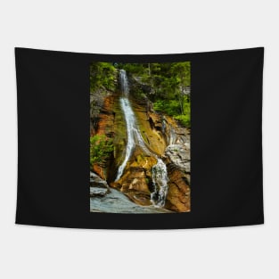 The Apa Spanzurata waterfall in the Latoritei gorge Tapestry