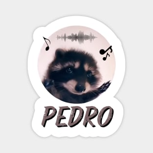 Pedro Raccoon Magnet