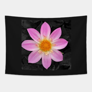 Pink flower art Tapestry