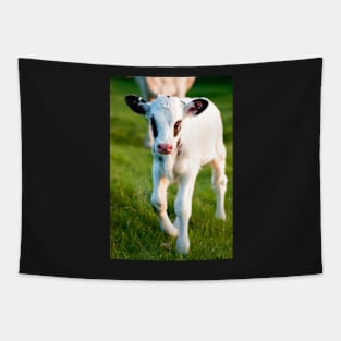 The Curious Calf Tapestry