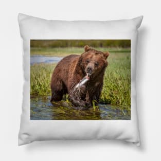 Grizzly with Fish Pillow