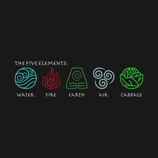 The Five Elements Avatar T-Shirt