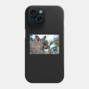 Possum Insomia #2 Phone Case