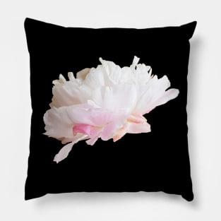 Pale Pink Peony Flower Floral Photo Cutout Pillow