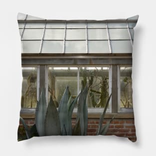 Plant Lady Succulent Cactus Greenhouse Pillow