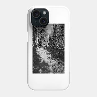 Glacier National Park Lake Wooded Path Phone Case