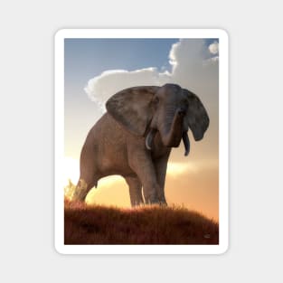 African Elephant at Sunrise Magnet