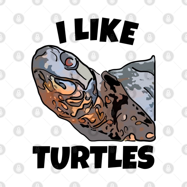 I Like Turtles by ardp13