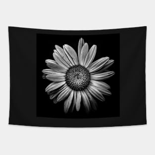 Backyard Flowers In Black And White 13 Tapestry