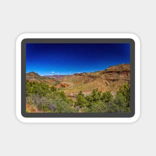 Salt River Canyon Wilderness Magnet