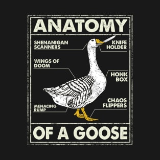 Anatomy Of A Goose Funny Nurse Gift T-Shirt