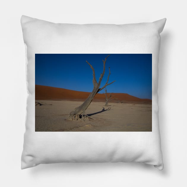 Fossilised tree in the Namibian Desert Pillow by HazelWright