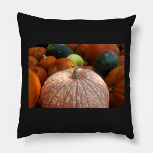 Fall harvest Pillow