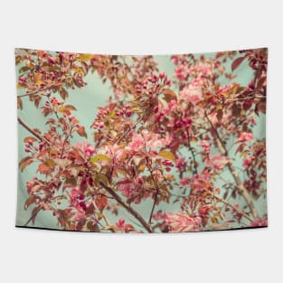 Raspberry Sorbet Tapestry