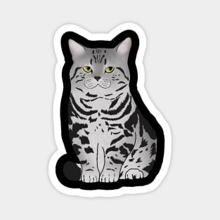 Cute Grey Tiger Cat, Love Cats Magnet
