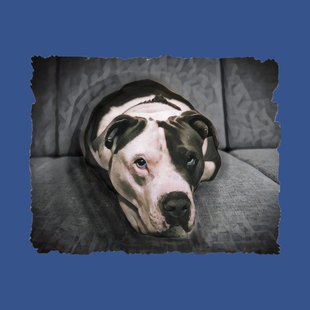 Discover Loveable Pit Bull With Blue Eyes - Pitbull Dog - T-Shirt