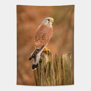 Perched Raptor Tapestry