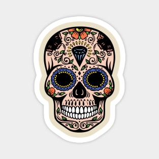 Mexican skull in retro colors Magnet